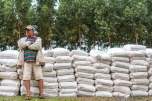 Entrega de insumos agrícolas